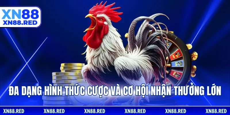 Đa dạng hình thức cược và cơ hội nhận thưởng lớn